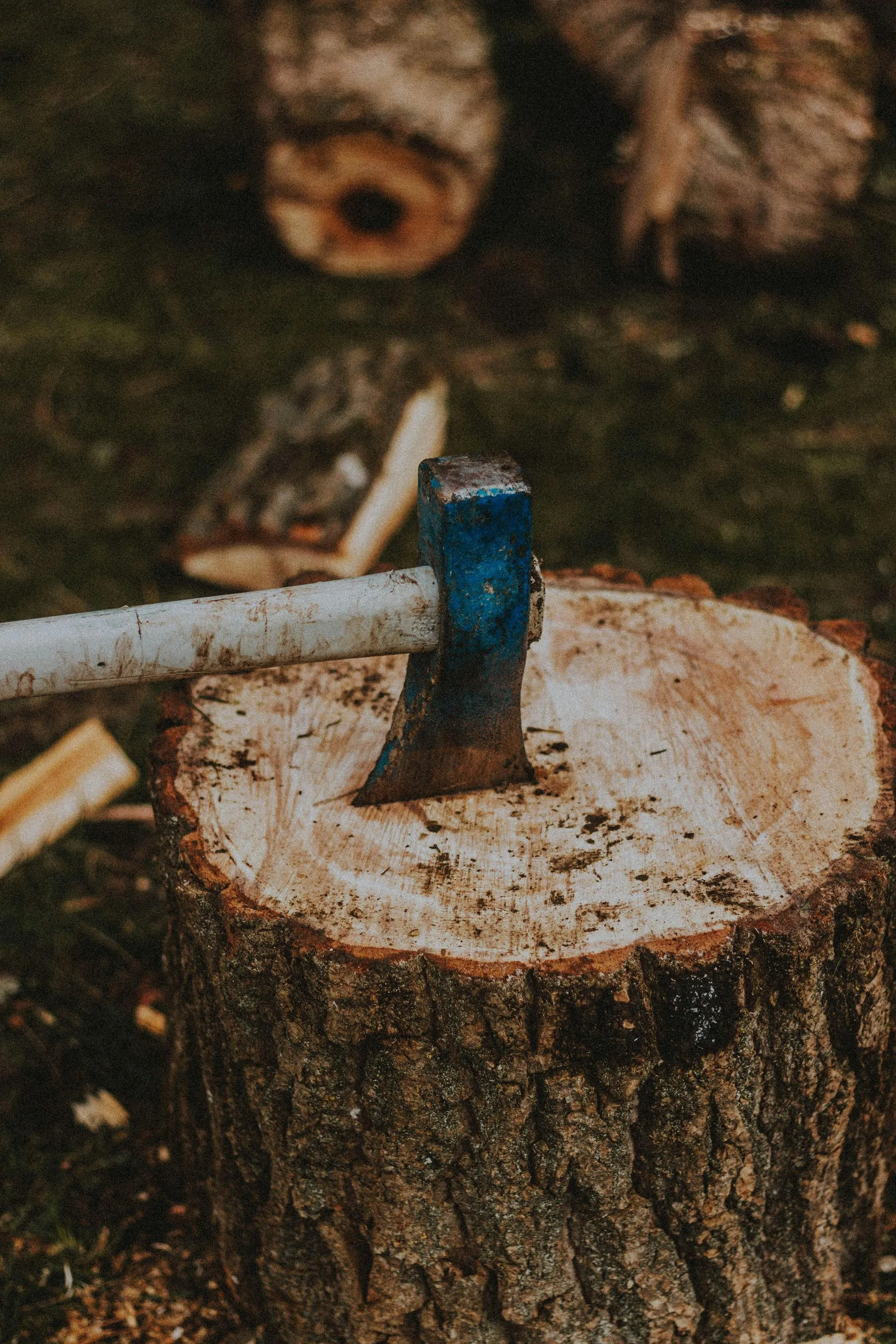 Axe embedded in a stump
