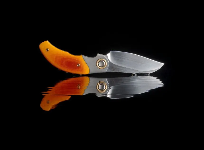 Pocket knife with polished blade