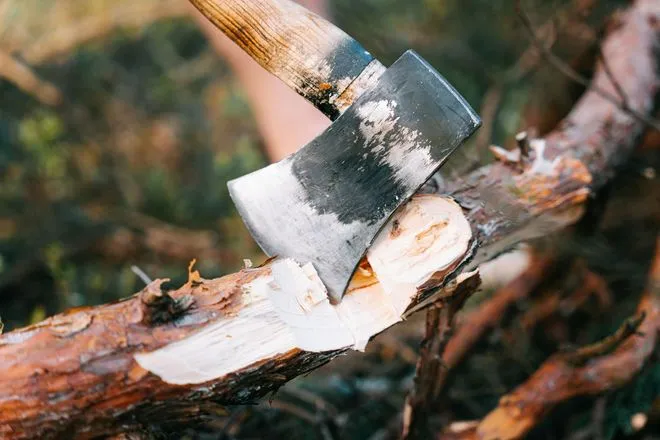 Axe head cutting into wood